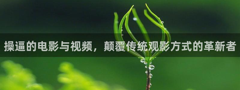 6080新视觉影视-免费高清电影热播电视剧大全在线观看