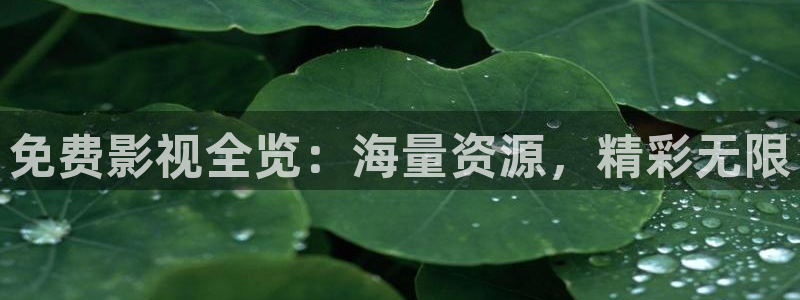 6080新视觉在线：免费影视全览：海量资源，精彩无限