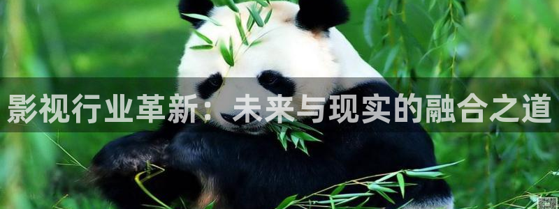 6080新视觉影视电视剧在线观看：影视行业革新：未来与现实的融合之道