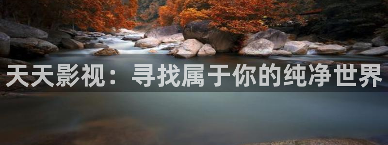 6080新视觉电影理论电视剧免费观看：天天影视：寻找属于你的纯净世界