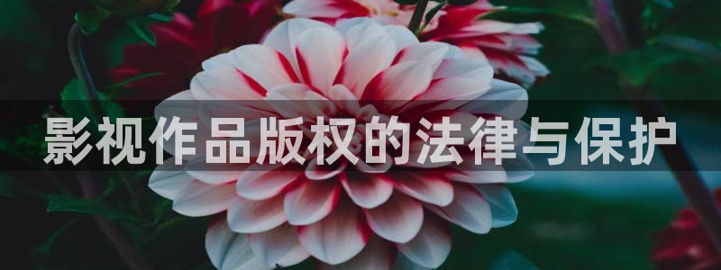 新视觉影院yy6080午夜：影视作品版权的法律与保护