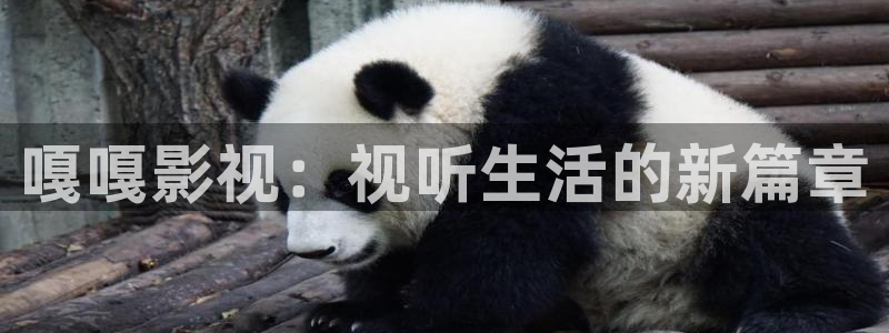 新视觉影院yy秋霞理论：嘎嘎影视：视听生活的新篇章